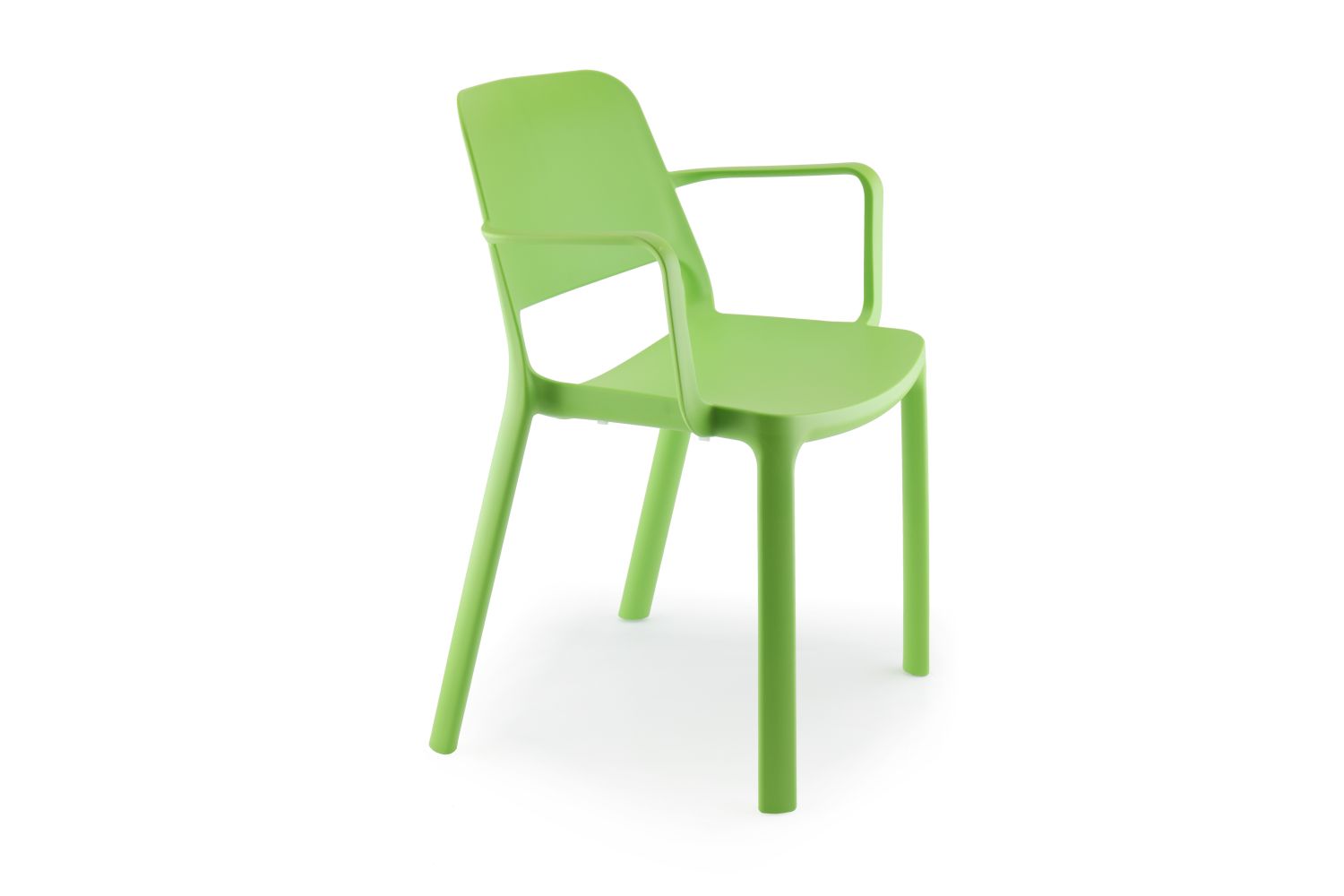2-Polita-vert02